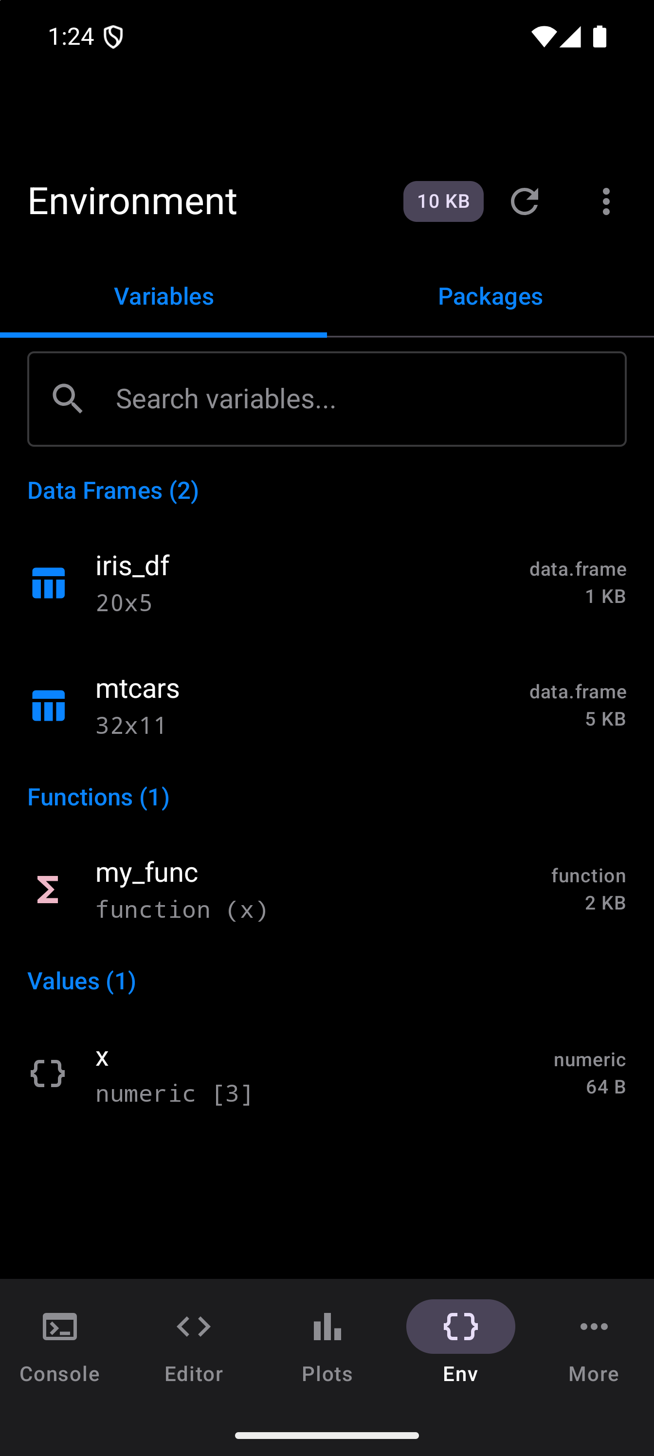 Environment tab showing variables grouped by type in dark theme