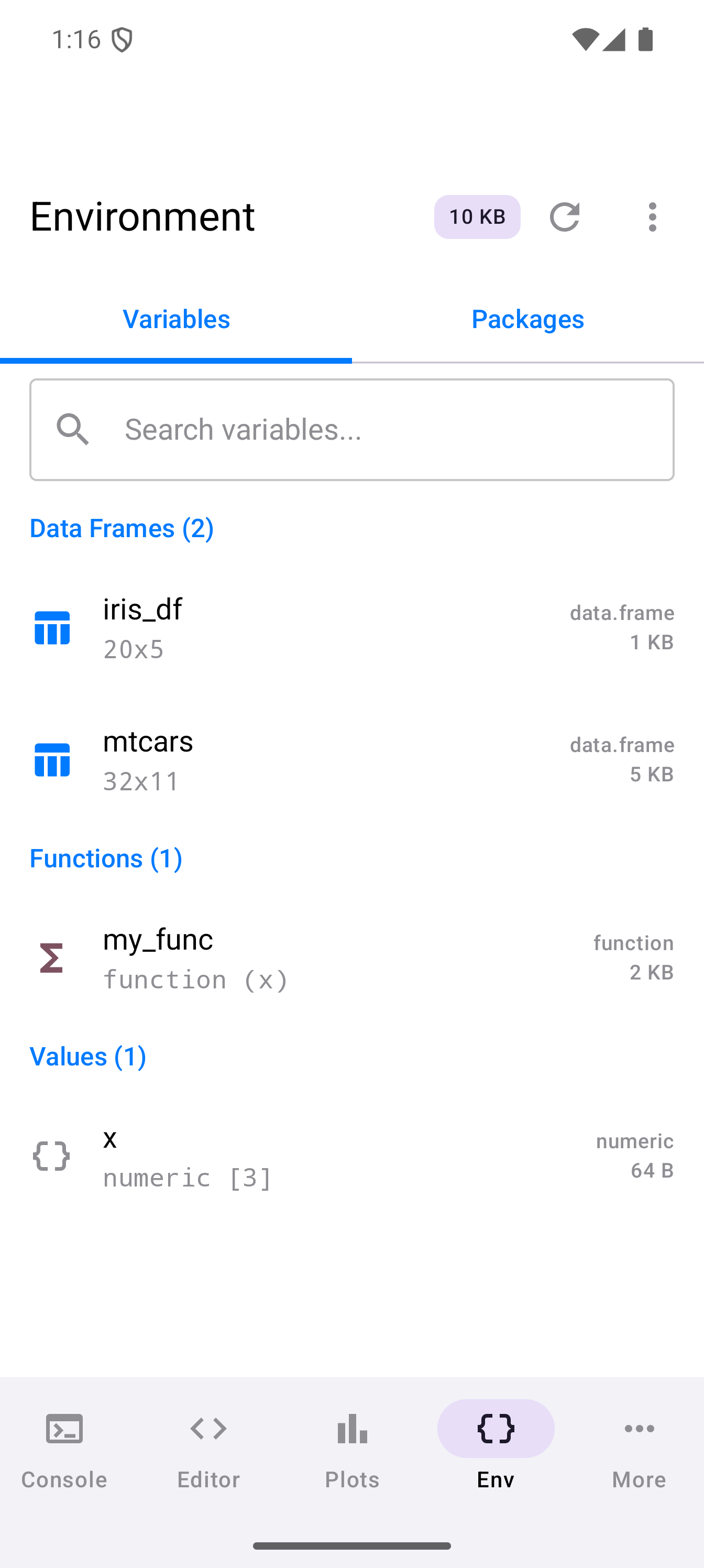 Environment tab showing variables grouped by type in light theme